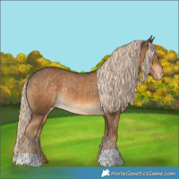 Horse Color:Chocolate Palomino Appaloosa Rabicano