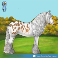Horse Color:Chocolate Palomino Blanket 