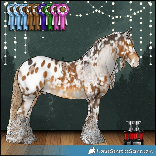 Horse Color:Liver Red Dun Splash Appaloosa Brindle  and Chocolate Palomino Appaloosa 