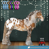 Horse Color:Liver Red Dun Splash Appaloosa Brindle  and Chocolate Palomino Appaloosa 