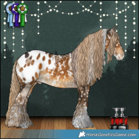 Horse Color:Liver Red Dun Splash Appaloosa Brindle  and Chocolate Palomino Appaloosa 