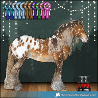 Horse Color:Liver Red Dun Splash Blanket Brindle  and Chocolate Palomino Blanket 