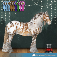 Horse Color:Liver Red Dun Splash Appaloosa Brindle  and Chocolate Palomino Appaloosa 