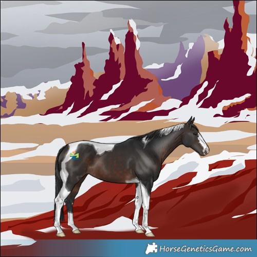 Horse Color:Brown Tobiano 