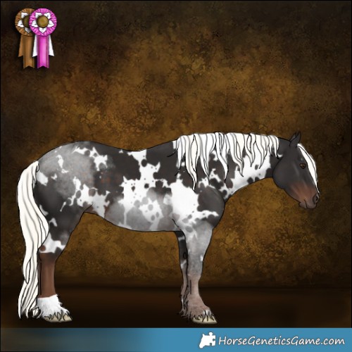 Horse Color:White Spotted Liver Chestnut Mushroom 