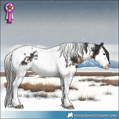 Horse Color:White Spotted Liver Chestnut Splash Tobiano 