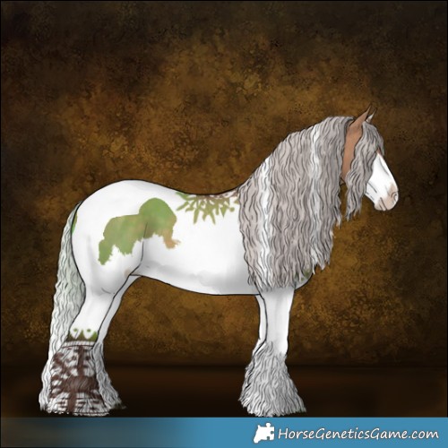 Horse Color:Silver Bay Dun Sabino Splash Tobiano 