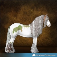 Horse Color:Silver Bay Dun Sabino Splash Tobiano 