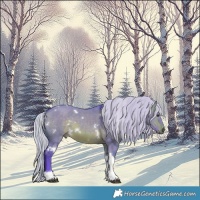 Horse Color:Watercolor White Spotted Silver Brown Dun Tobiano 