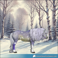 Horse Color:Watercolor White Spotted Silver Brown Dun Tobiano