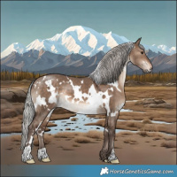 Horse Color:White Spotted Silver Brown Dun 