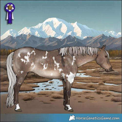 Horse Color:White Spotted Silver Brown Dun 