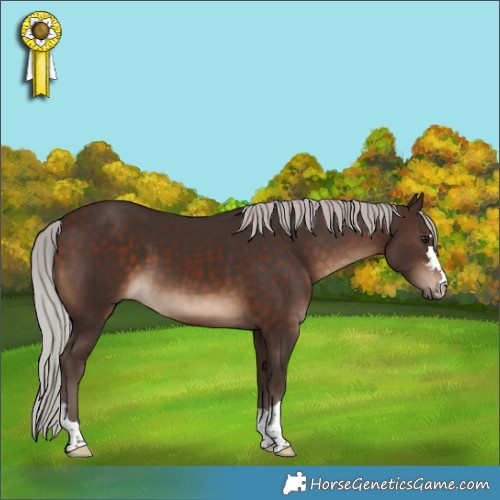 Horse Color:Silver Brown 