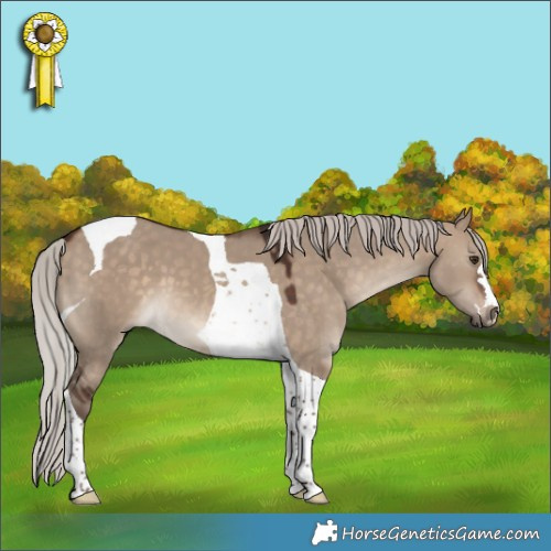 Horse Color:Silver Brown Dun Tobiano 