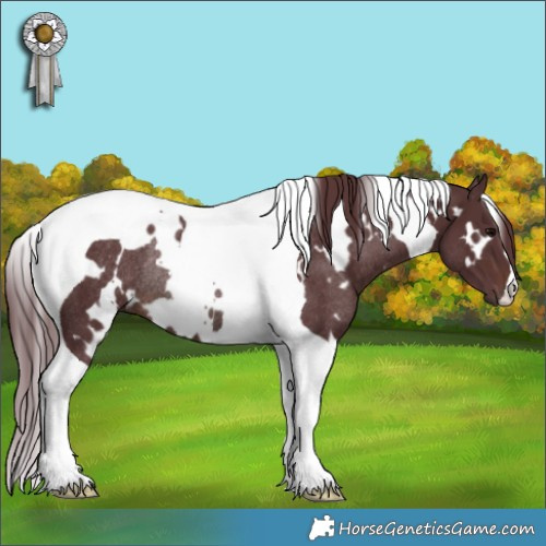 Horse Color:White Spotted Chocolate Brown Tobiano Rabicano 