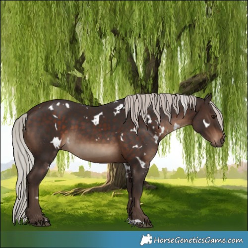Horse Color:White Spotted Silver Brown 