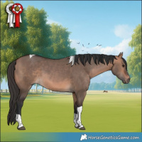 Horse Color:Bay Dun Tobiano 