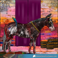 Horse Color:White Spotted Black Ice Splash Rabicano