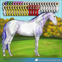 Horse Color:Watercolor White Spotted Brown Ice Dun Splash Tobiano
