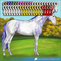 Horse Color:Watercolor White Spotted Brown Ice Dun Splash Tobiano 