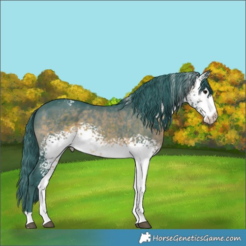 Horse Color:Watercolor White Spotted Brown 