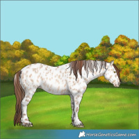 Horse Color:Amber Champagne Near Leopard  and Amber Champagne Dun Near Leopard 