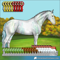 Horse Color:Watercolor White Spotted Brown Ice Dun Splash Tobiano