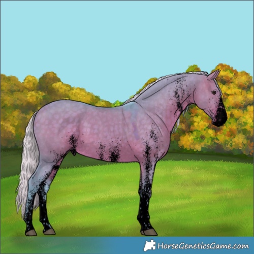 Horse Color:Void Watercolor White Spotted Silver Brown Dun 