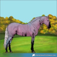 Horse Color:Void Watercolor White Spotted Silver Brown Dun