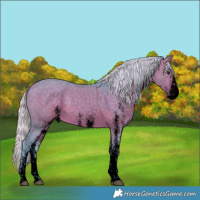 Horse Color:Void Watercolor White Spotted Silver Brown Dun