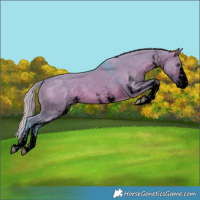Horse Color:Void Watercolor White Spotted Silver Brown Dun