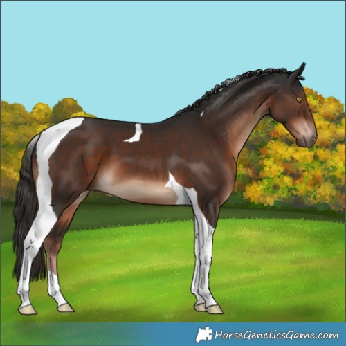 Horse Color:Liver Chestnut Tobiano 