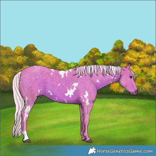Horse Color:Watercolor White Spotted Silver Brown 