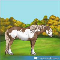 Horse Color:Chocolate Palomino Frame