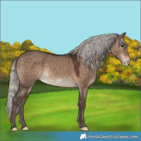 Horse Color:Silver Brown Dun Frame 
