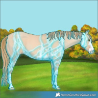 Horse Color:Thunderstruck Gold Champagne Dun