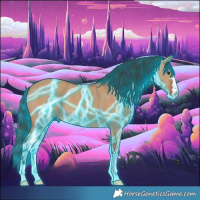 Horse Color:Thunderstruck Bay Dun 