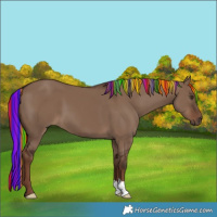 Horse Color:Painted Liver Red Dun