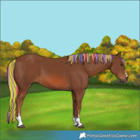 Horse Color:Painted Chestnut