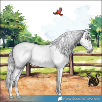 Horse Color:Gray Liver Red Dun Splash Varnish 