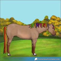 Horse Color:Painted Red Dun