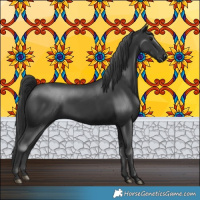 Horse Color:Black Rabicano 