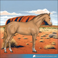 Horse Color:Chestnut Rabicano 
