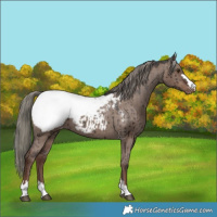 Horse Color:Liver Red Dun Mushroom Snowcap Brindle 
