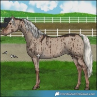 Horse Color:Liver Red Dun Mushroom Brindle