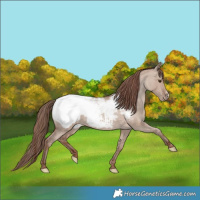 Horse Color:Classic Champagne Dun Frame Snowcap 