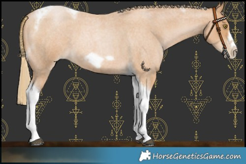 Horse Color:Red Roan Pearl Tobiano Frame 