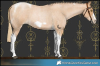 Horse Color:Red Roan Pearl Tobiano Frame
