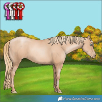 Horse Color:Gold Champagne Pearl Rabicano  and Gold Champagne Pearl Rabicano 