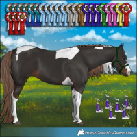 Horse Color:Liver Chestnut Tobiano 